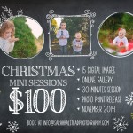 christmasminis